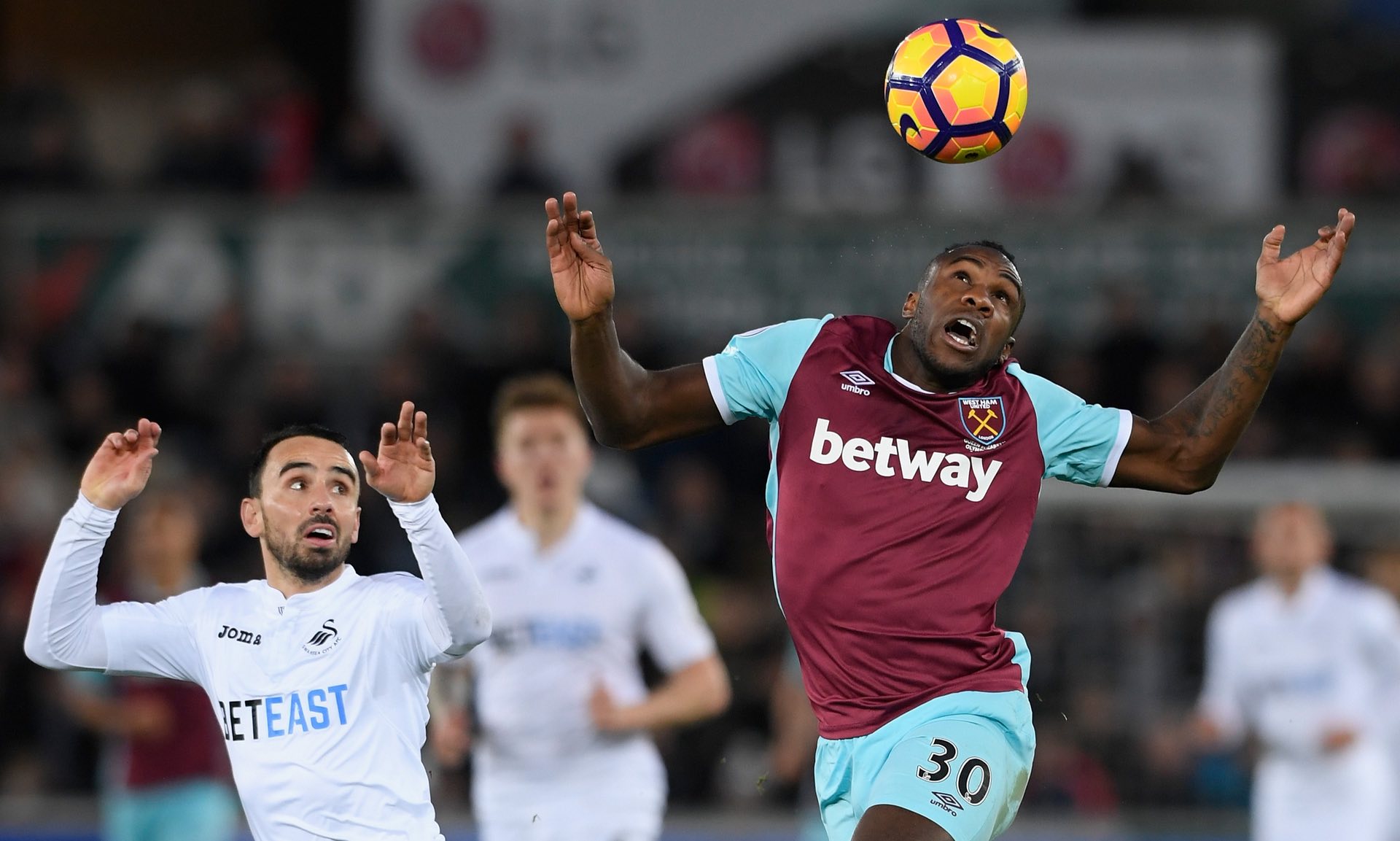 都在寻找属 都在寻找属